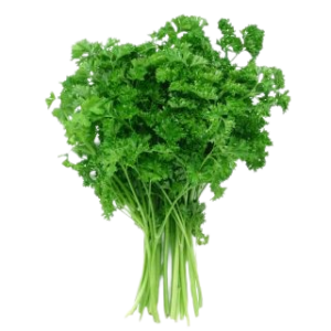 PARSLEY
