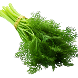 DILL
