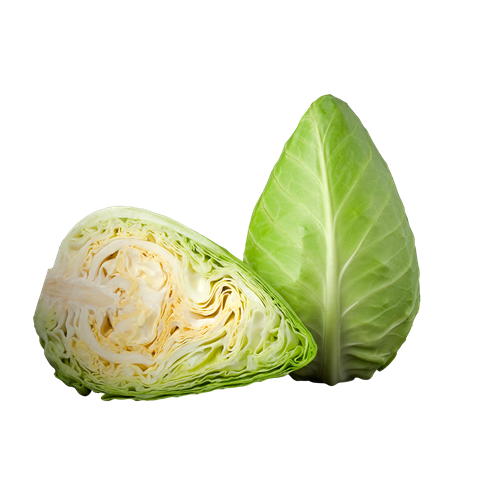 POINTY CABBAGE