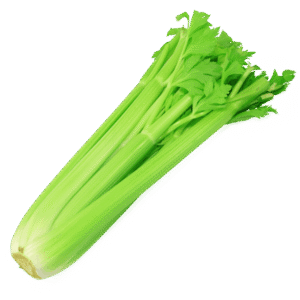 CELERY