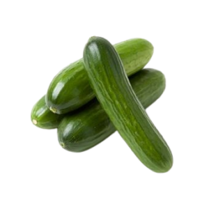 CUCUMBER
