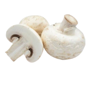 BUTTON MUSHROOM