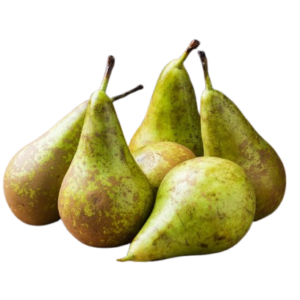 CONFERENCE PEAR