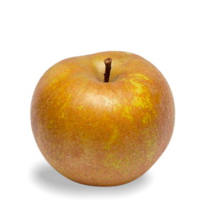 RUSSET APPLE