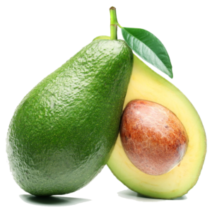 AVOCADO