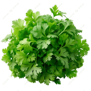 CORRIANDER