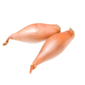 BANANA SHALLOT