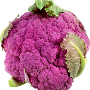 PURPLE BROCCOLI