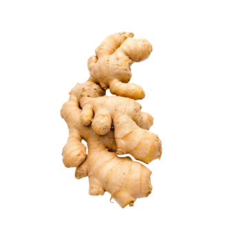 GINGER