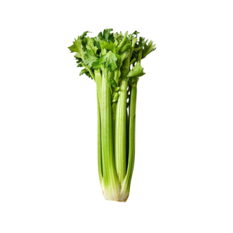 CELERY
