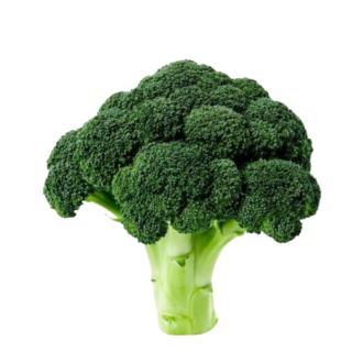 BROCCOLI