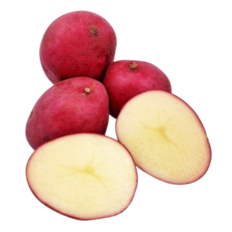 RED POTATO