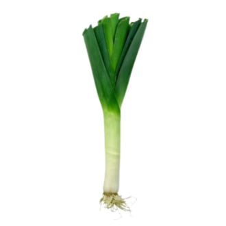 LEEKS