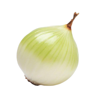 GOLDEN ONION