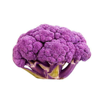 PURPLE BROCCOLI