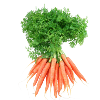 CARROTS BOX