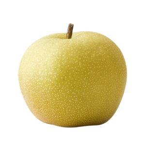 RUSSET APPLE