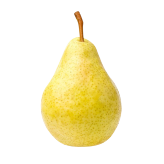 CONFERENCE PEAR
