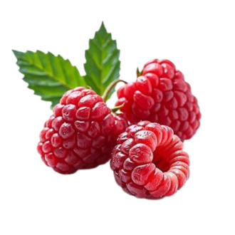RASPBERRY