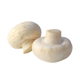 BUTTON MUSHROOM