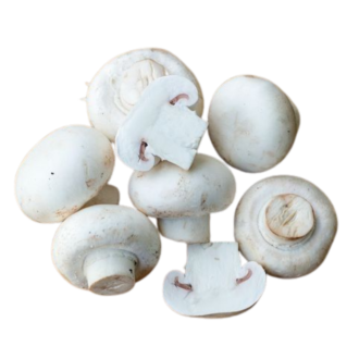 CUP MUSHROOM