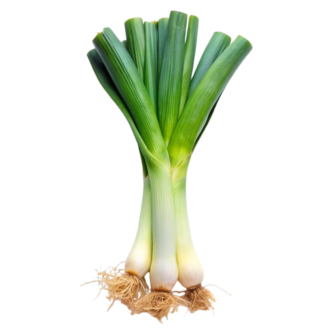 SPRING ONIONS