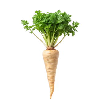 PARSNIP
