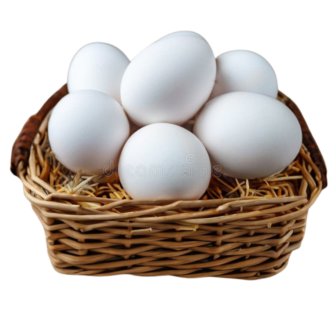 XL EGGS X 6